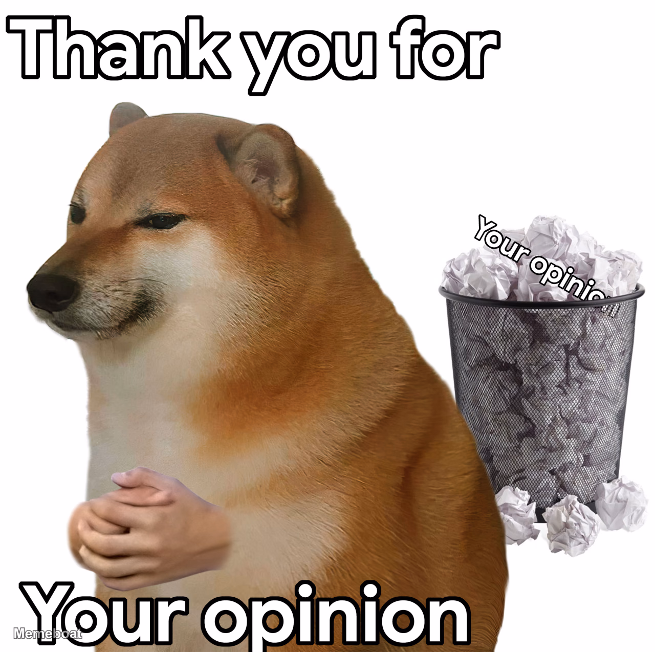 Thank You for Your Opinion - meme generator image preview