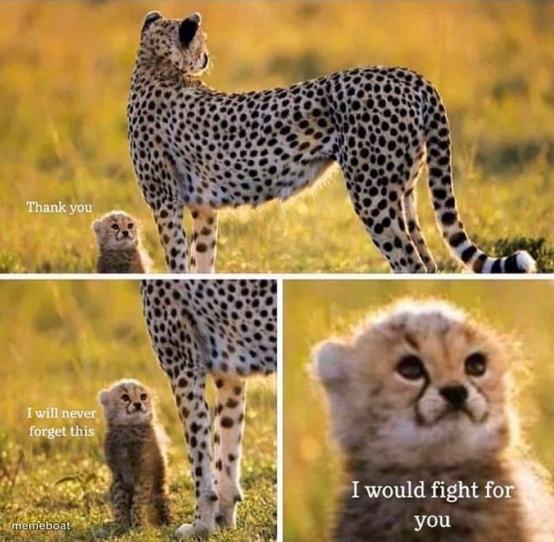 Thank you I will never forget this - meme generator image preview