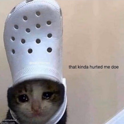that kinda hurted me doe - meme generator image preview