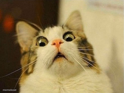 That moment when - meme generator image preview