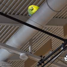 that one ball - meme generator image preview