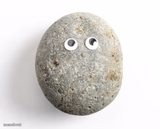 That Rock