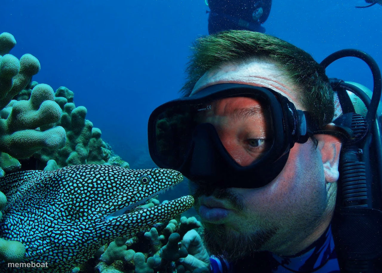 That's A Moray - meme generator image preview