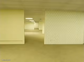 The Backrooms