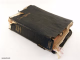 The Bible Survives