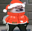 The chistmas doge