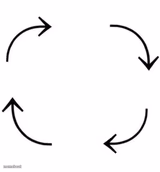 the circle of life