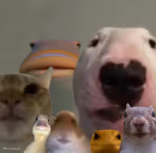 The council remastered