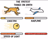 The fastest things on earth