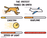 the fastest things on earth