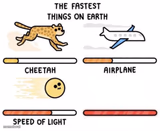 The fastest things on earth: cheetah, airplane, speed of light,