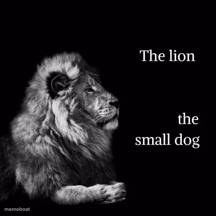 The lion and dog - meme generator image preview