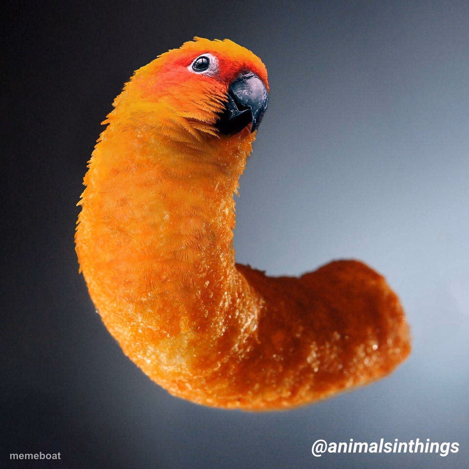 the parrot cheeto - meme generator image preview