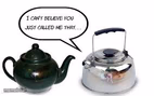 the pot that called the kettle black