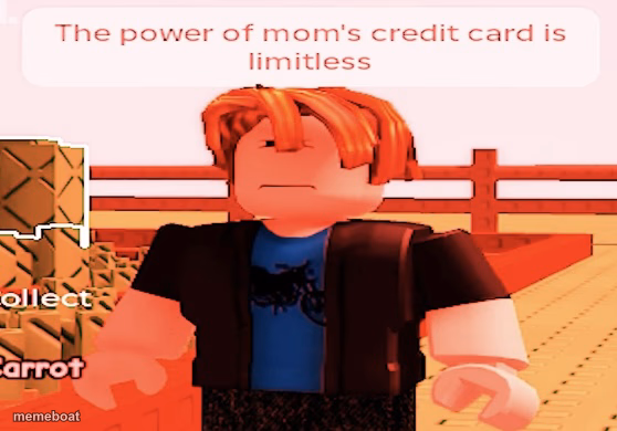 the power of mom’s credit card is limitless - meme generator image preview