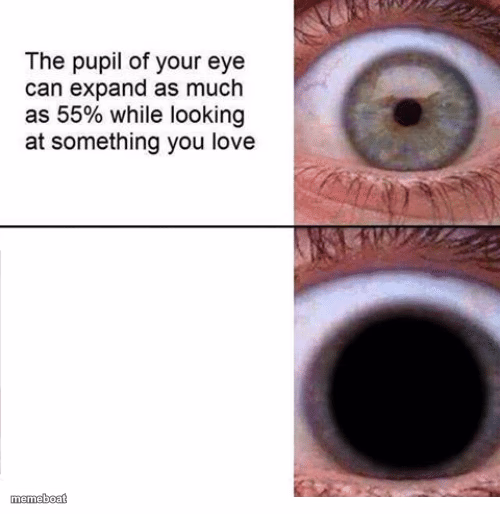 the pupil of your eye can expand - meme generator image preview