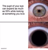 the pupil of your eye can expand