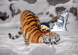 The Real Calvin and Hobbes