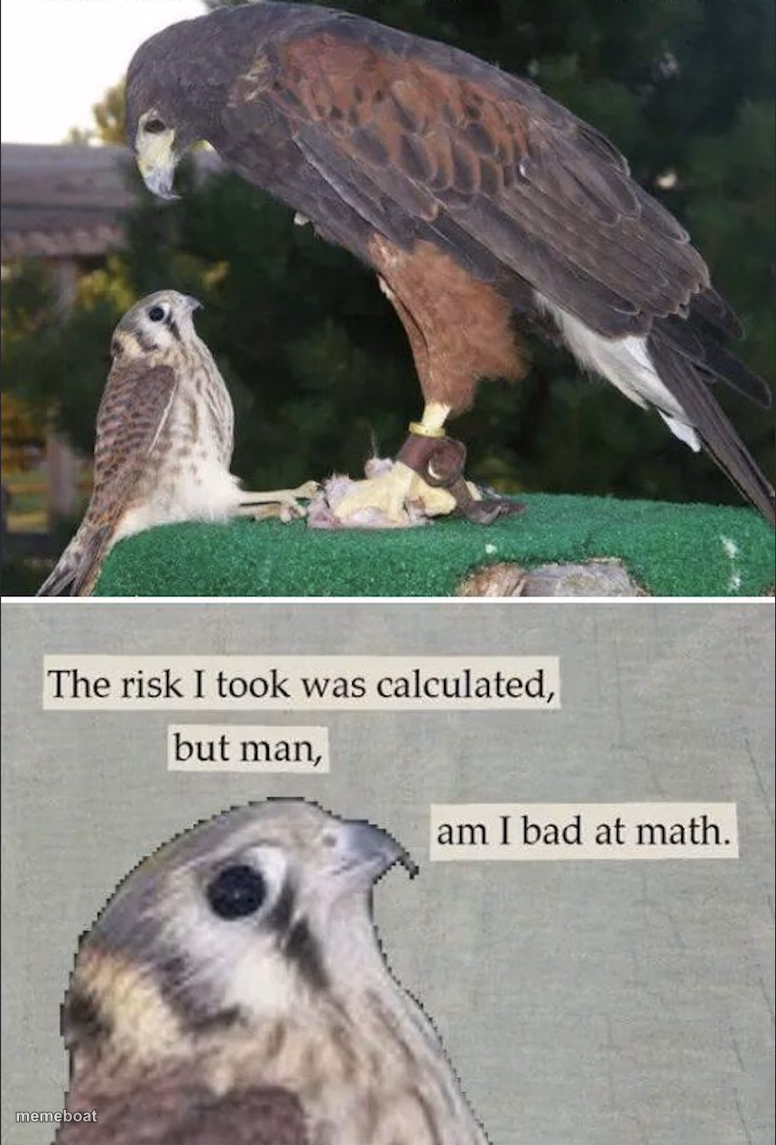The Risk I took was calculated, but man, am I bad at Math - meme generator image preview