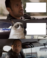 The Rock Driving Grumpy Cat