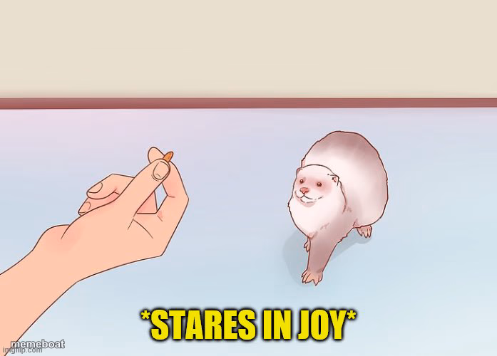 the stare of joy - meme generator image preview