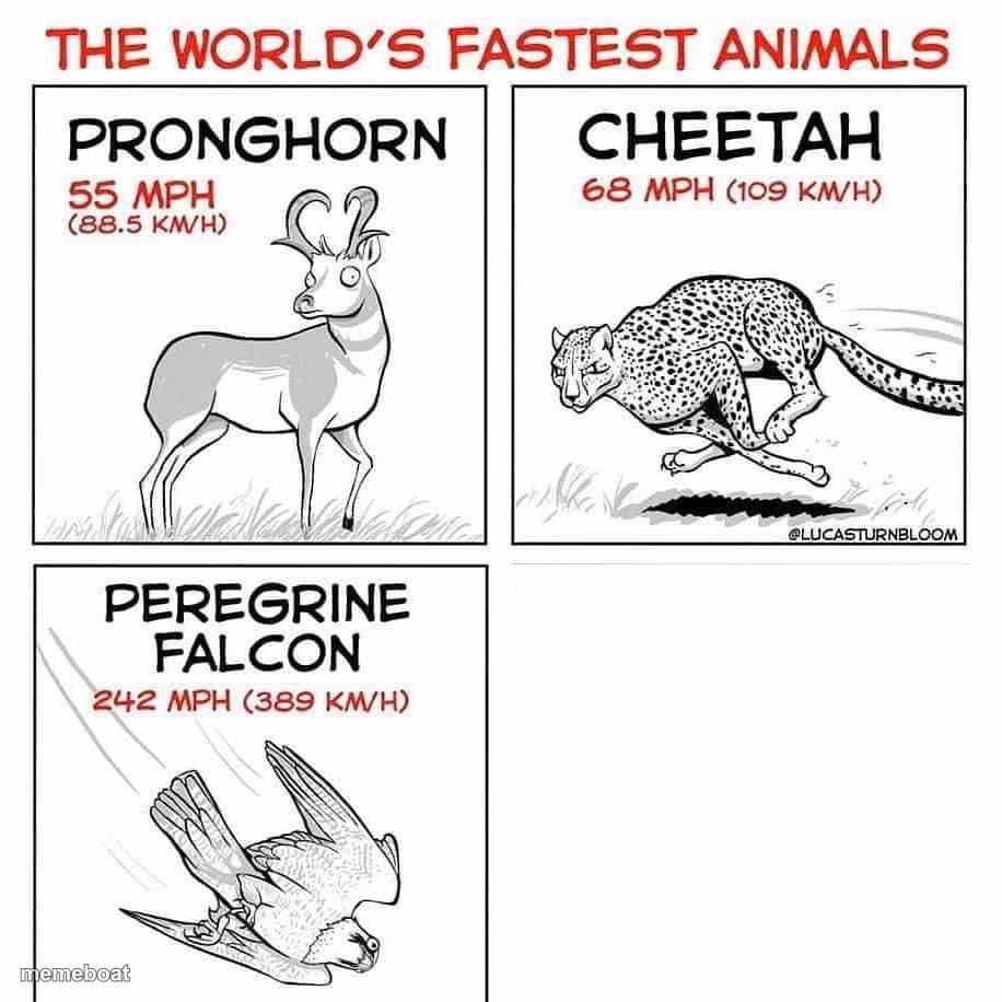 The world's fastest animals - meme generator image preview