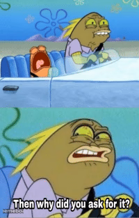 then why did you ask for it - meme generator image preview