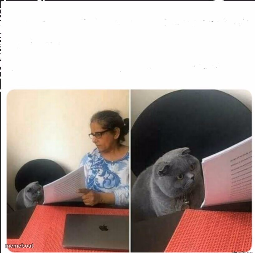 Then why did you write - meme generator image preview