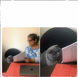 Then why did you write