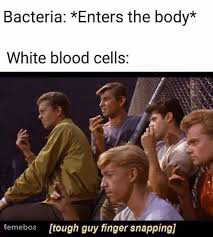 West Side Story Finger Snap - meme generator image preview