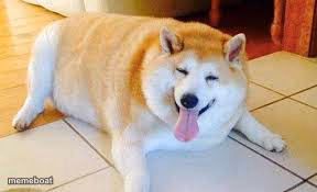 Thicc Doggo - meme generator image preview