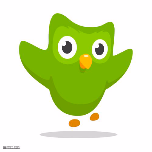 things duolingo teaches you - meme generator image preview