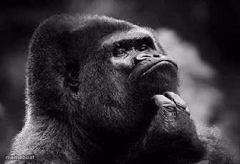 thinking monkey - meme generator image preview