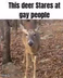 This Deer Stares At Gay People