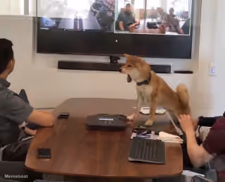 This Entire Meeting Could Have Been an Email