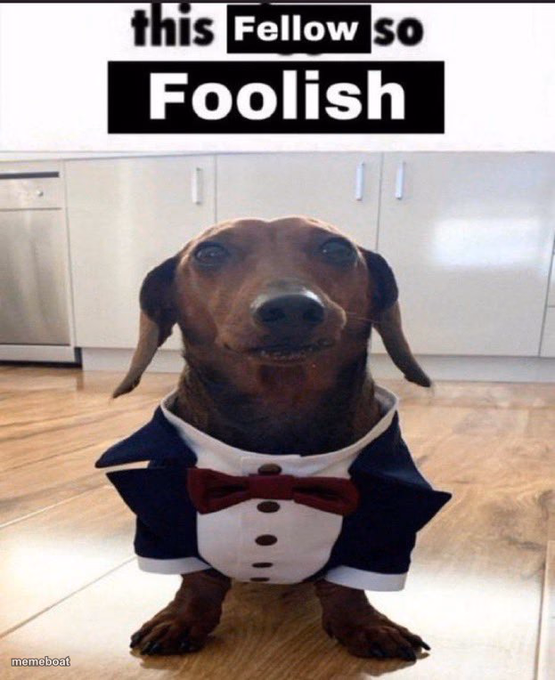 This fellow is so foolish - meme generator image preview