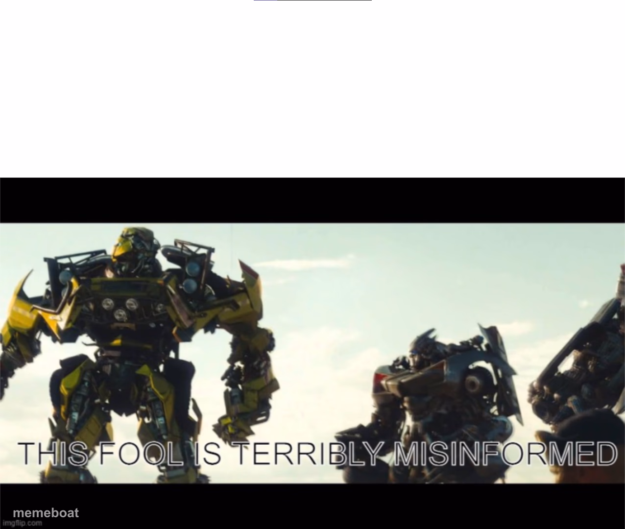 "This fool is terribly misinformed." - meme generator image preview