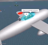 This is a suicide mission ok