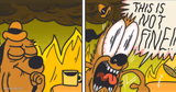 This is not fine