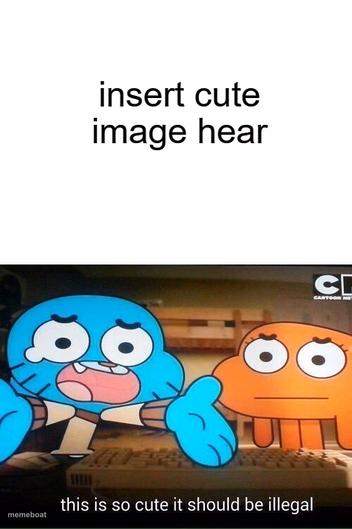 this is so cute it should be illegal - meme generator image preview