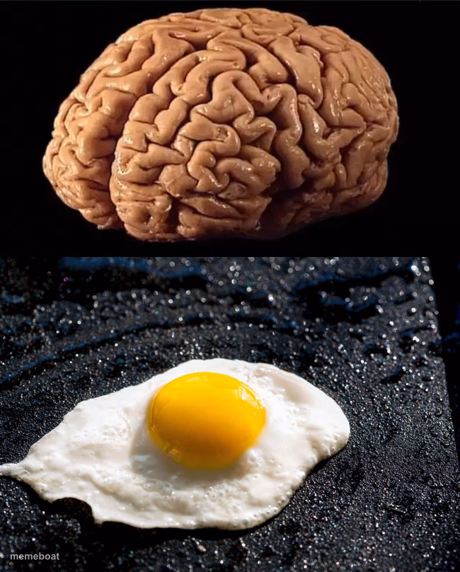 This is your brain - meme generator image preview