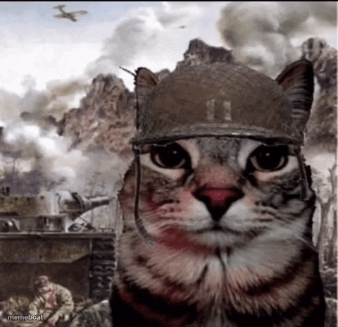 Thousand yard stare cat - meme generator image preview