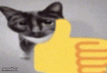 thumbs up cat - meme generator image preview