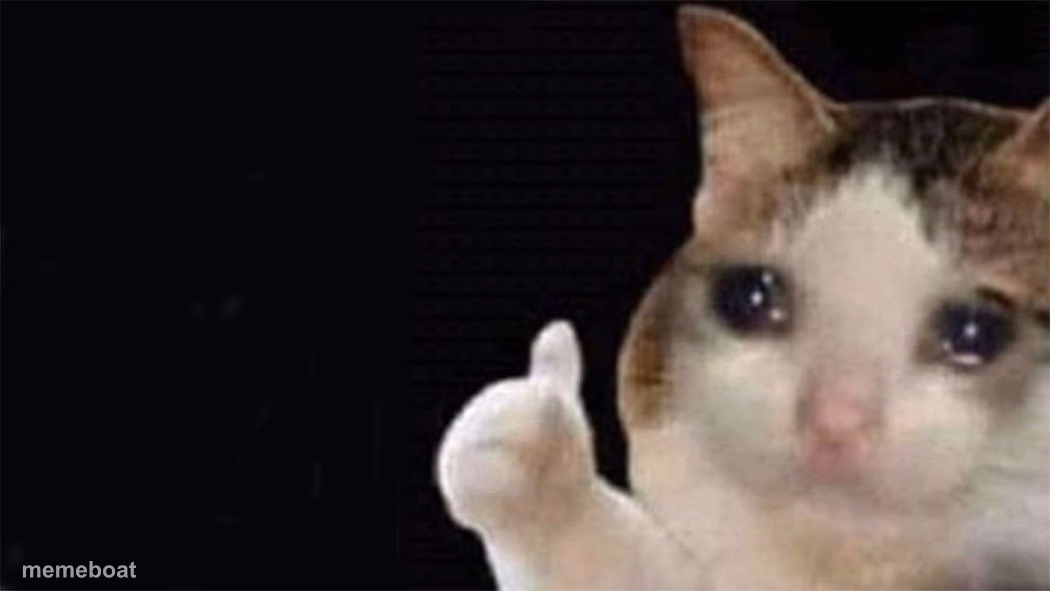 Thumbs up crying cat - meme generator image preview
