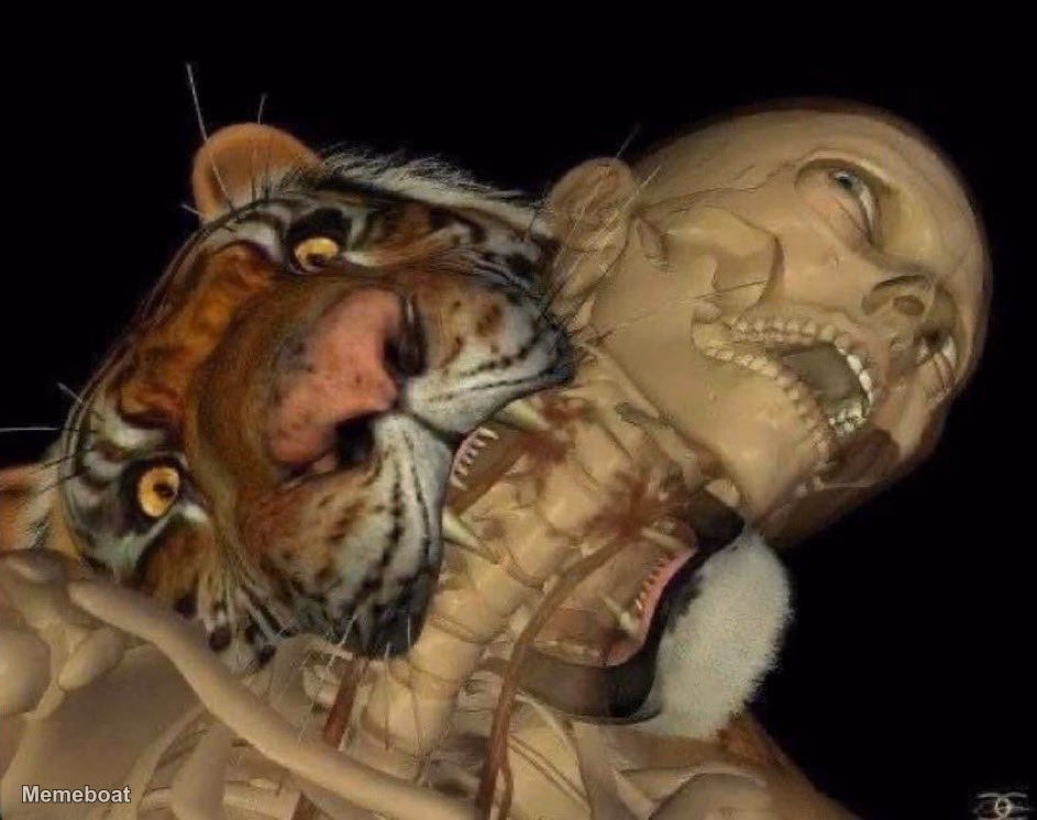 Tiger Biting Human Skeleton Neck - meme generator image preview