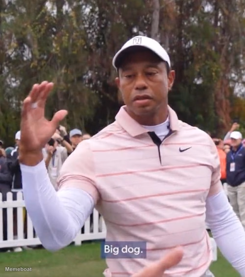 Tiger Woods - Big Dog - meme generator image preview