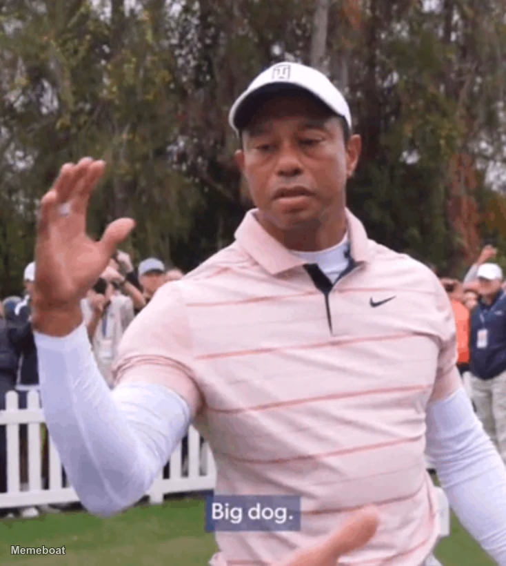 Tiger Woods Big Dog - Arrested for DUI - meme generator image preview