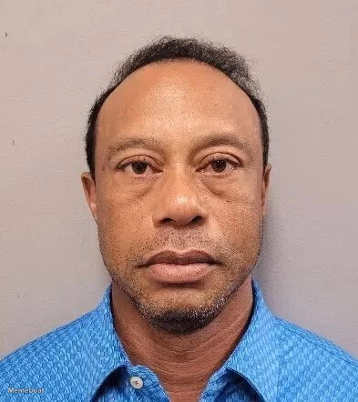 Tiger Woods DUI Mugshot - meme generator image preview
