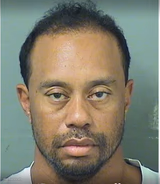 Tiger Woods Mug Shot