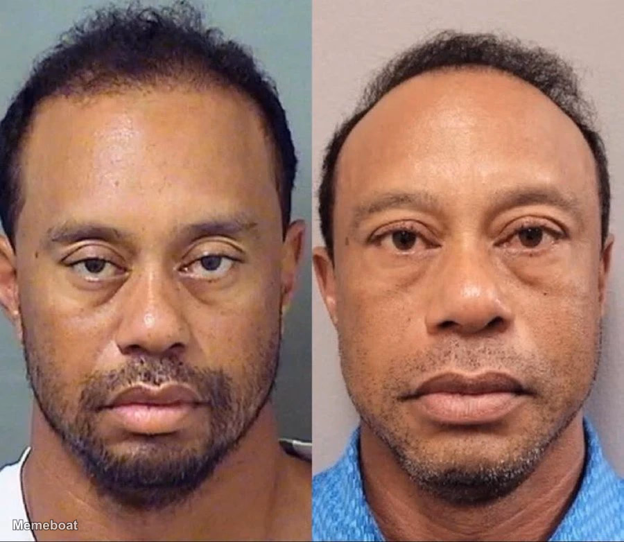 Tiger Woods Mugshot 2017 and 2026 - meme generator image preview